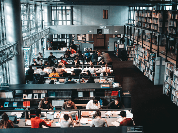 Perpustakaan2